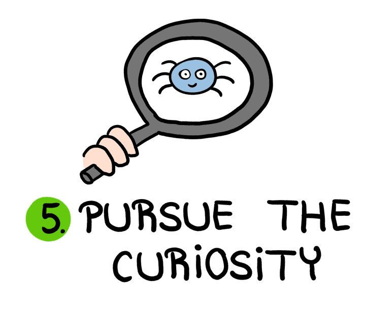 pursue the curiosity