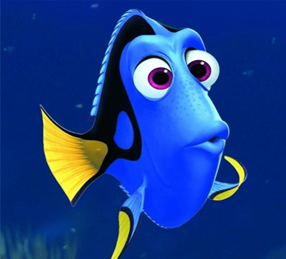 dory short term memory