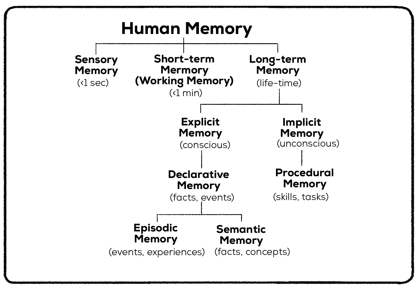 categorizing human memory