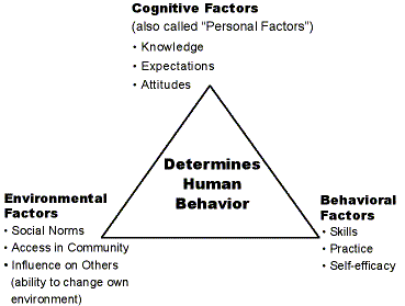 social learning theory and behavior