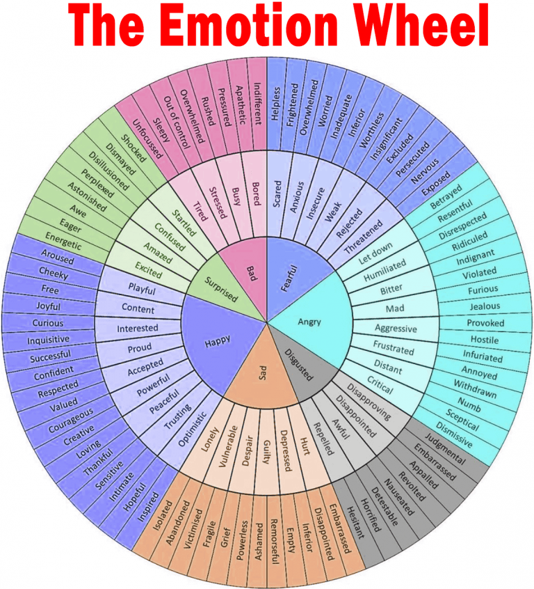 emotion and feeling wheel