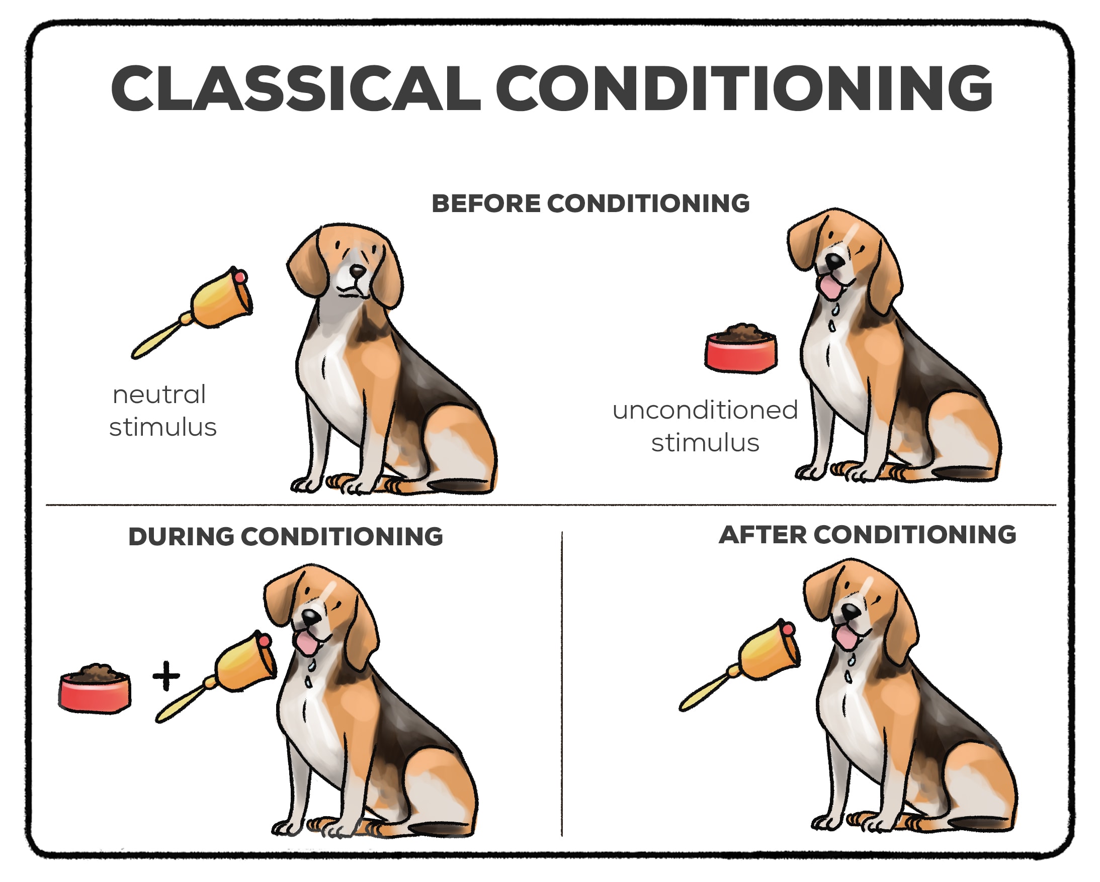 classical conditioning
