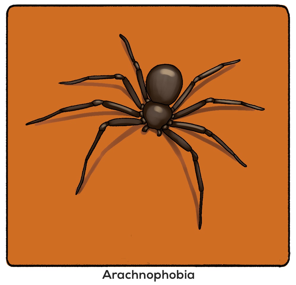 arachnophobia is the fear of spiders