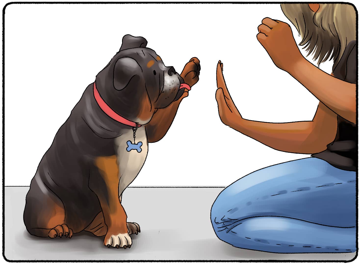 training a pet with treats