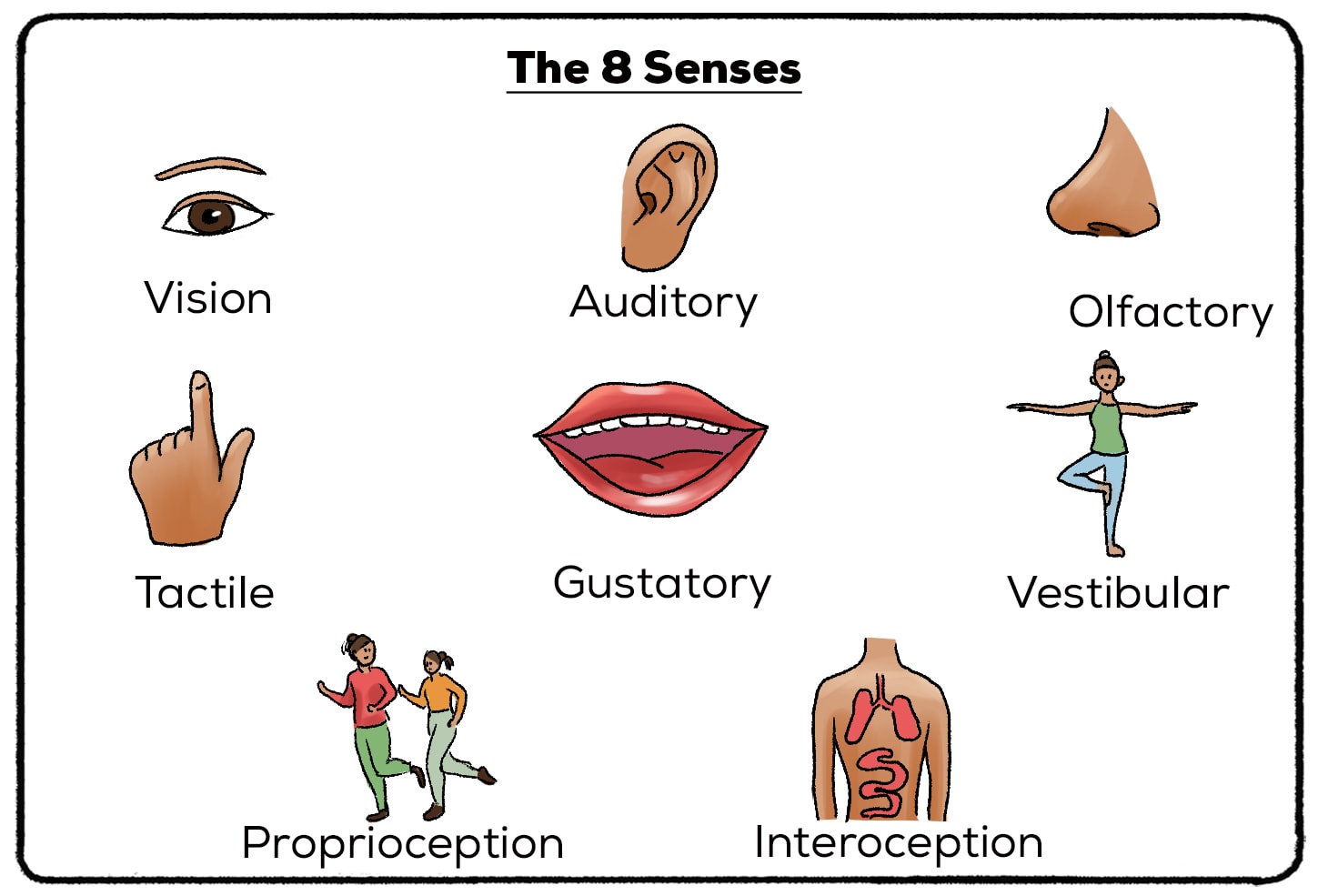 the 8 senses
