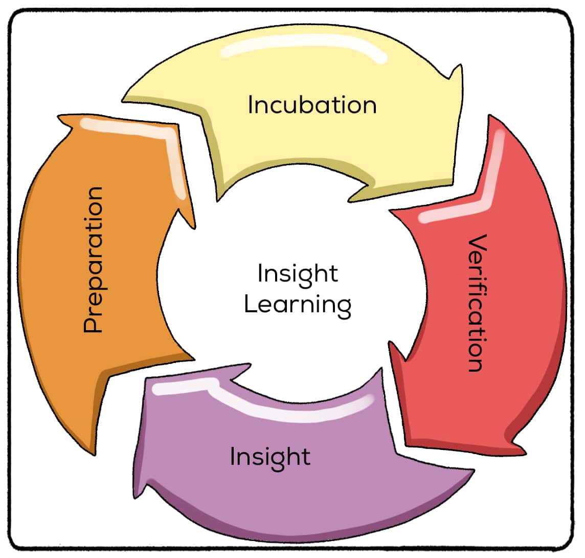 four stages of insight learning