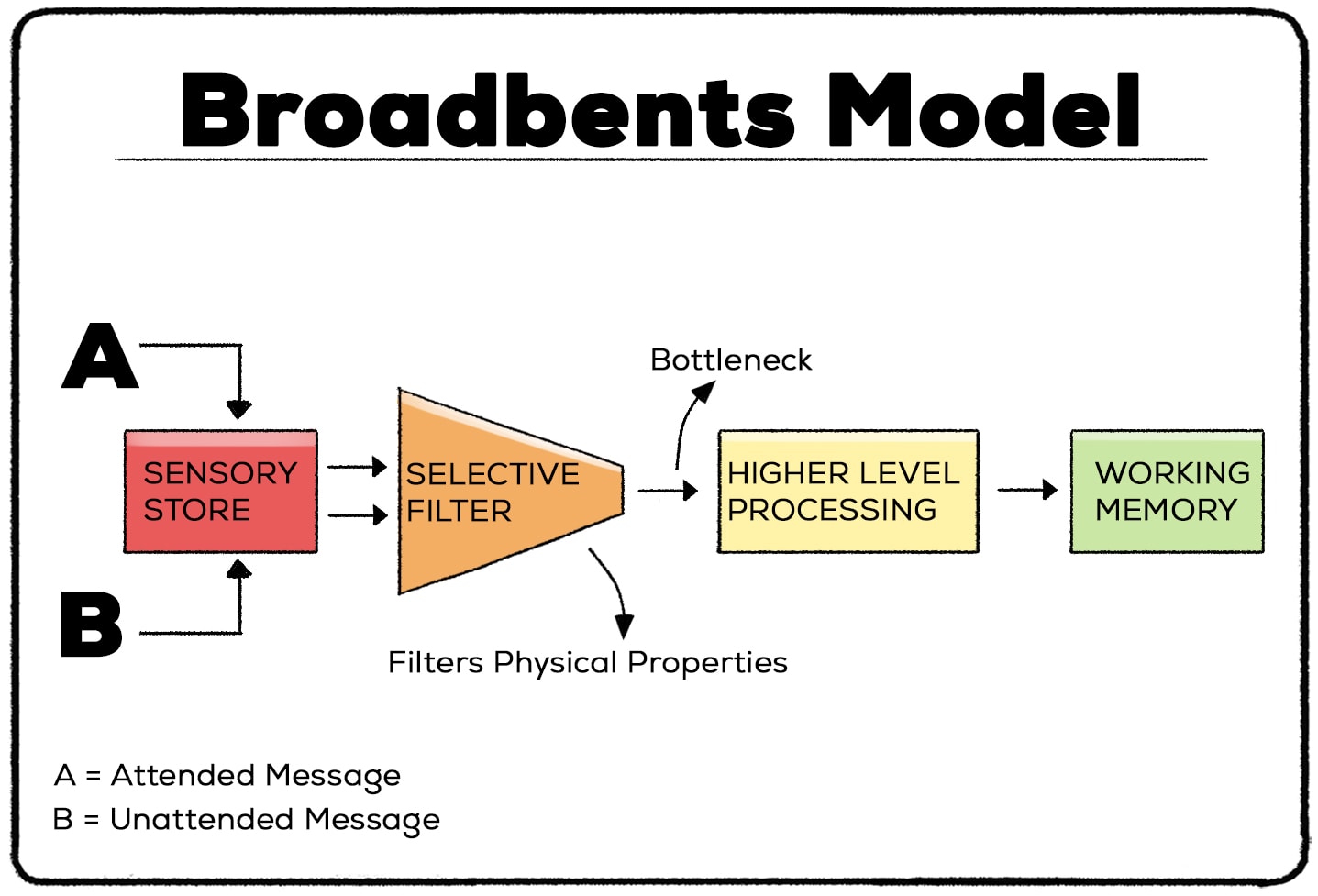 Broadbent's Filter Model of Attention 