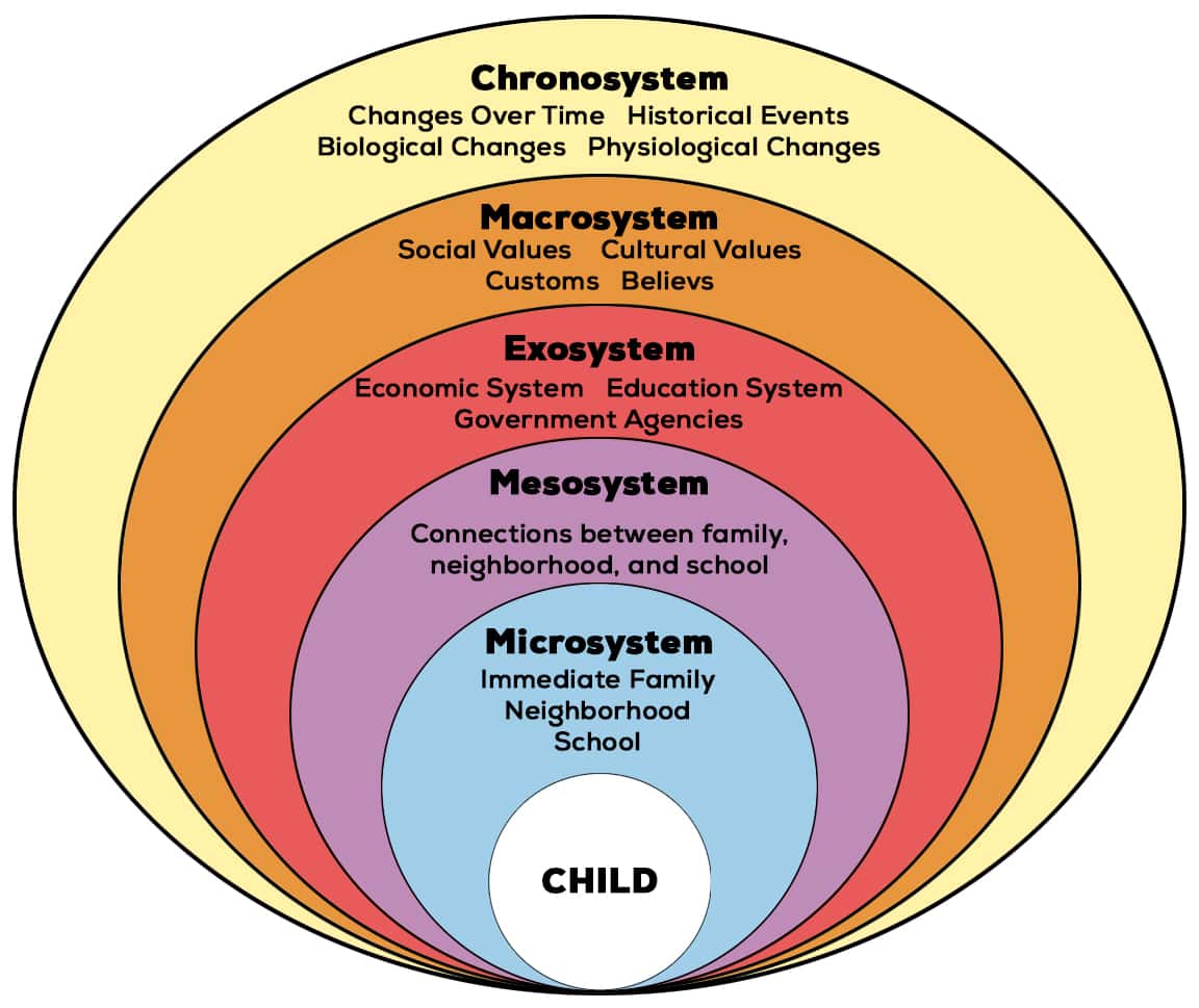 Urie Bronfenbrenner Biography Contributions To Psychology