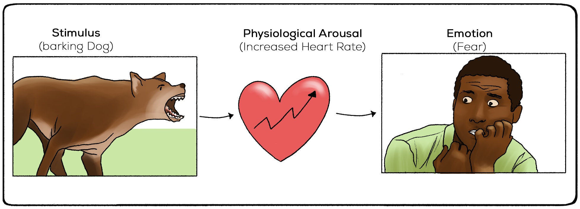 physiological arousal