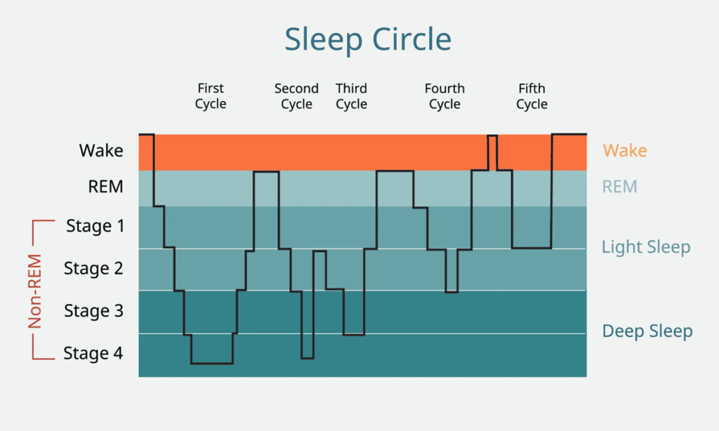 sleep cycles for dreams